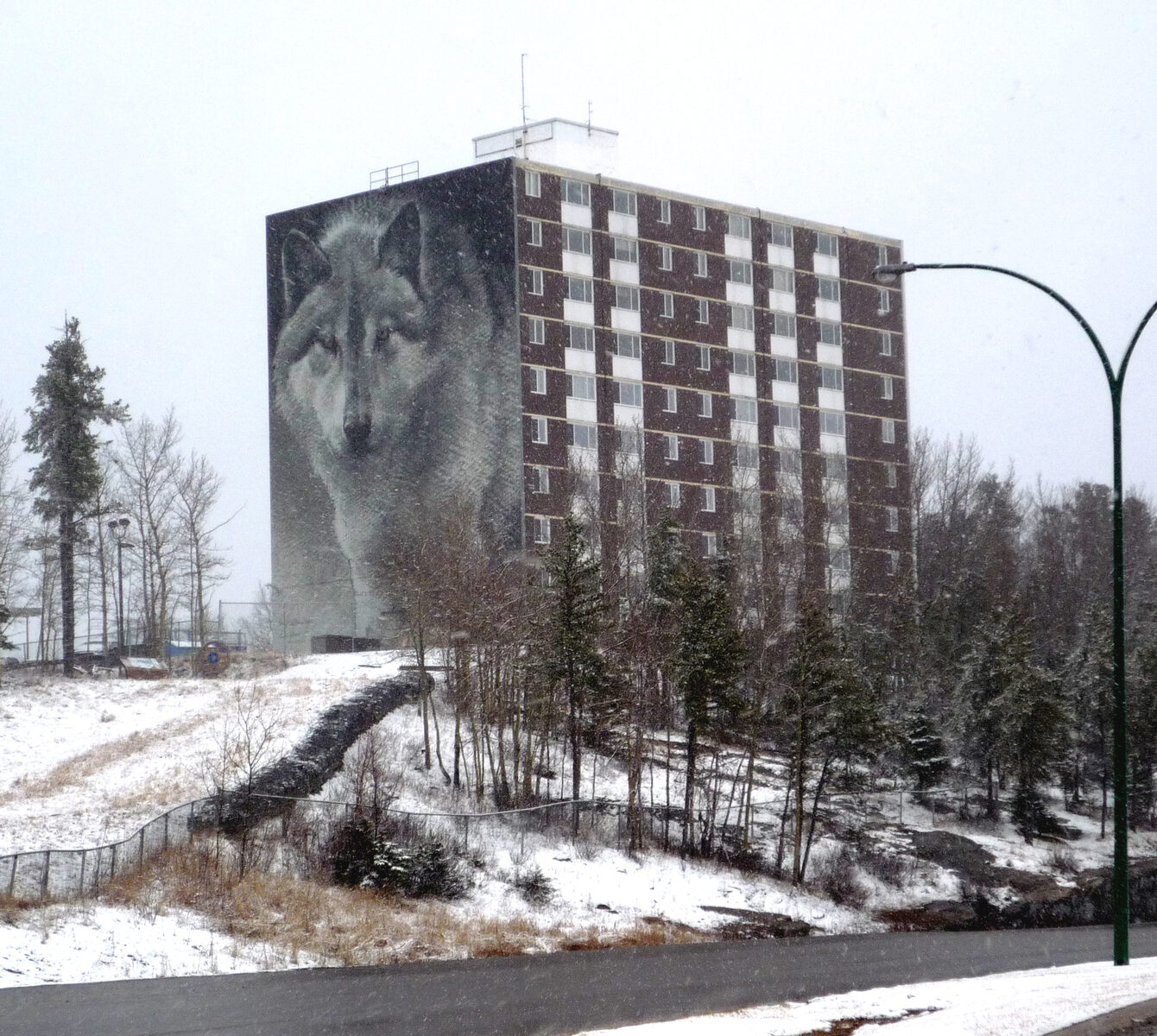 thompson-wolf-mural.jpg